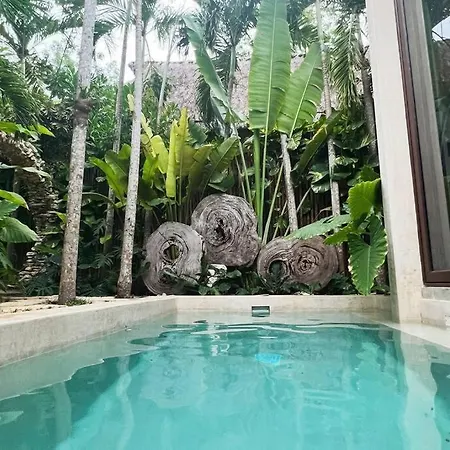 Jungle Oasis - Villa With Private Pool